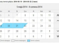 Dlaczego warto mieć kalendarz rezerwacji na stronie www? Dlaczego warto mieć kalendarz rezerwacji na stronie www?