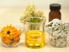 Jak warto stosować olej jojoba? Jak warto stosować olej jojoba?
