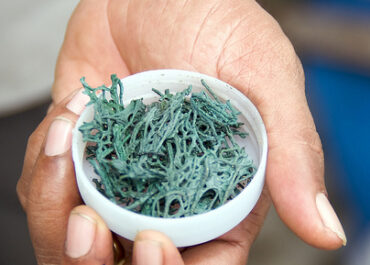 Spirulina – co to jest?