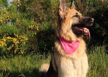 Jak skutecznie chronić się przed upałem?