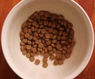 Unikalna receptura karm marki Acana Pacifica