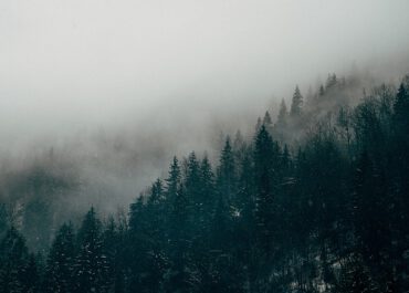 Kto powinien używać butów antyprzecięciowych?