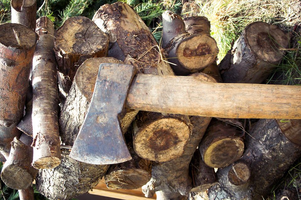 Obróbka drewna na miarę XXI wieku