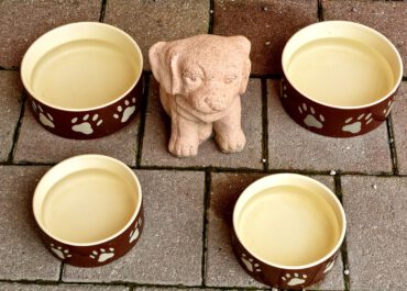 Dobierz miskę dla psa